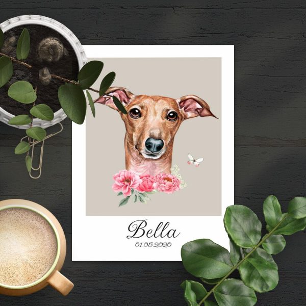 plakat z portretem charcika włoskiego