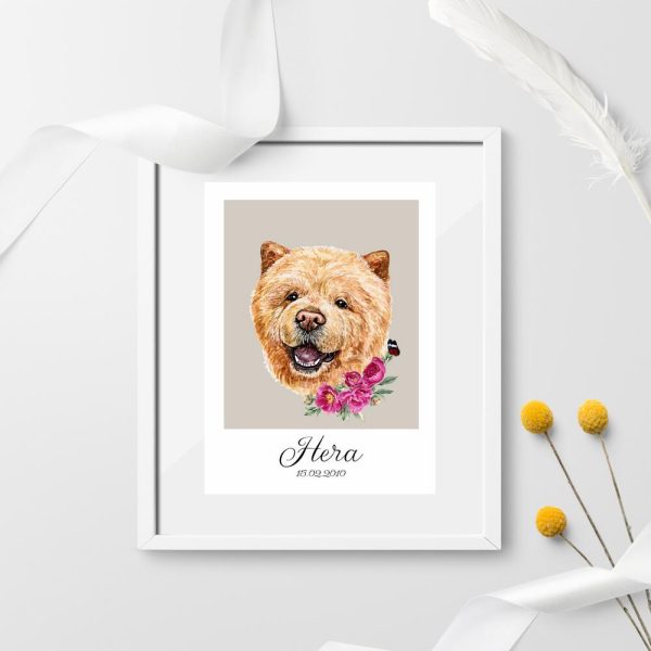 plakat z psem rasy chow chow