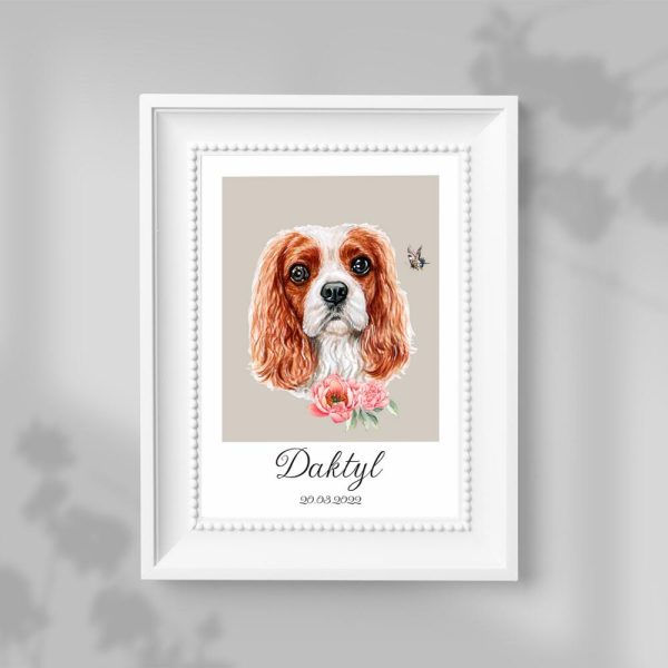 plakat z psią metryczką dla psa Cavalier king charles spaniel
