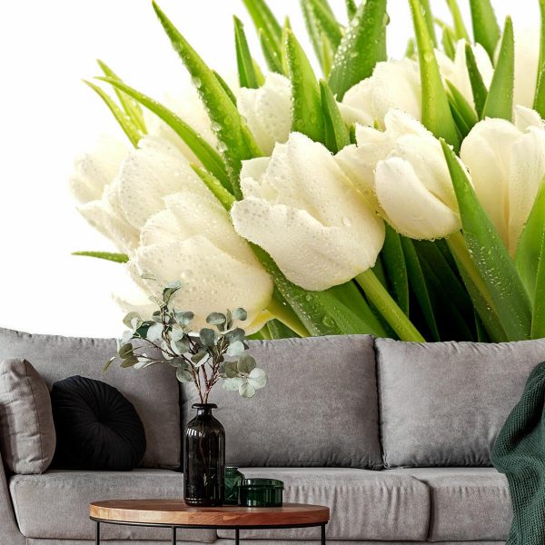 tapeta do pokoju z tulipanami