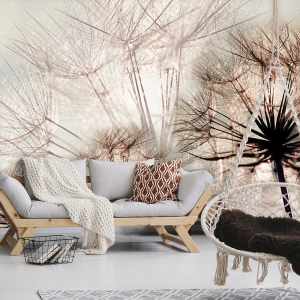 trzy dmuchawce na fototapecie