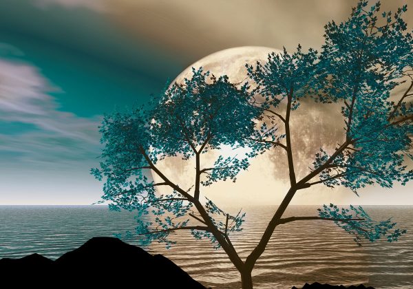 obraz w sepii z księżycem