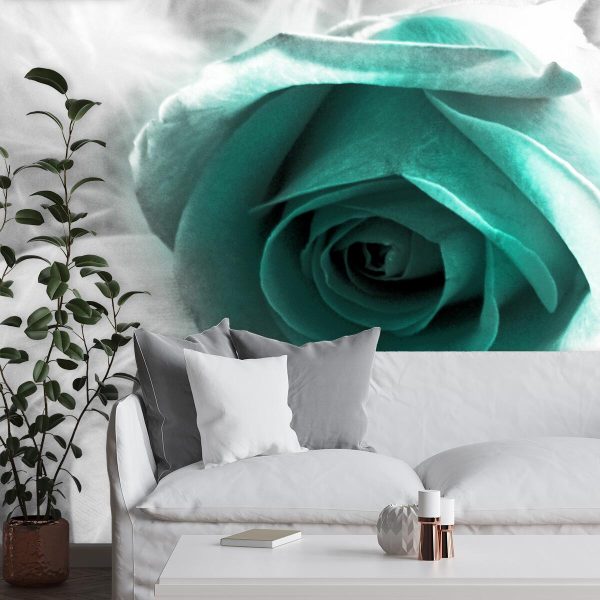 Foto-tapeta z różą