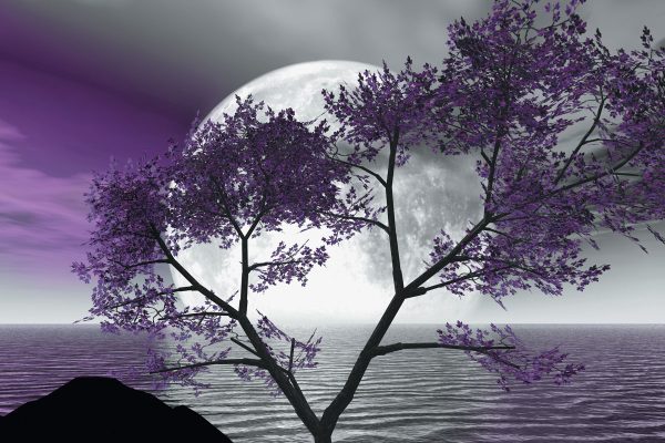 Fototapeta - Fioletowe niebo