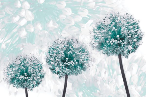 Fototapeta - Trzy czosnki