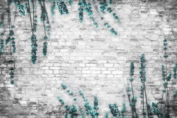 Fototapeta - Turkusowe lawendy