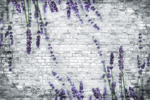 Fototapeta z lawendą