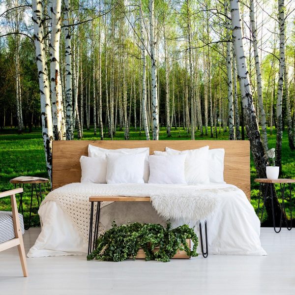 Tapeta z motywem lasu do przedpokoju