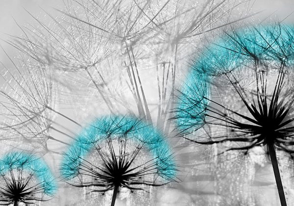 Obraz z trzema dmuchawcami